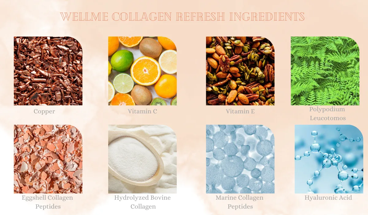 WellMe Collagen Refresh Ingredients