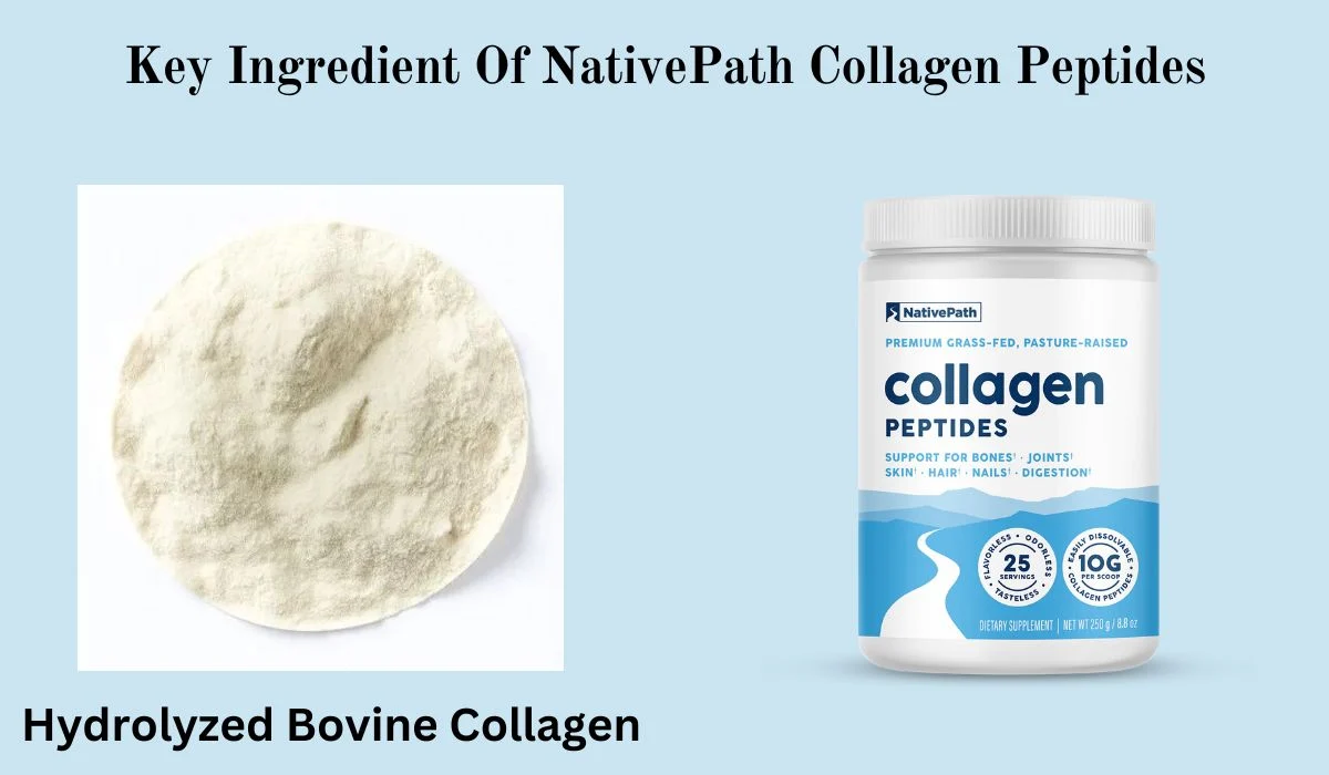 NativePath Collagen Peptides Ingredient